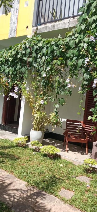 Bed and Breakfast Mandara Rest Hikkaduwa Zewnętrze zdjęcie